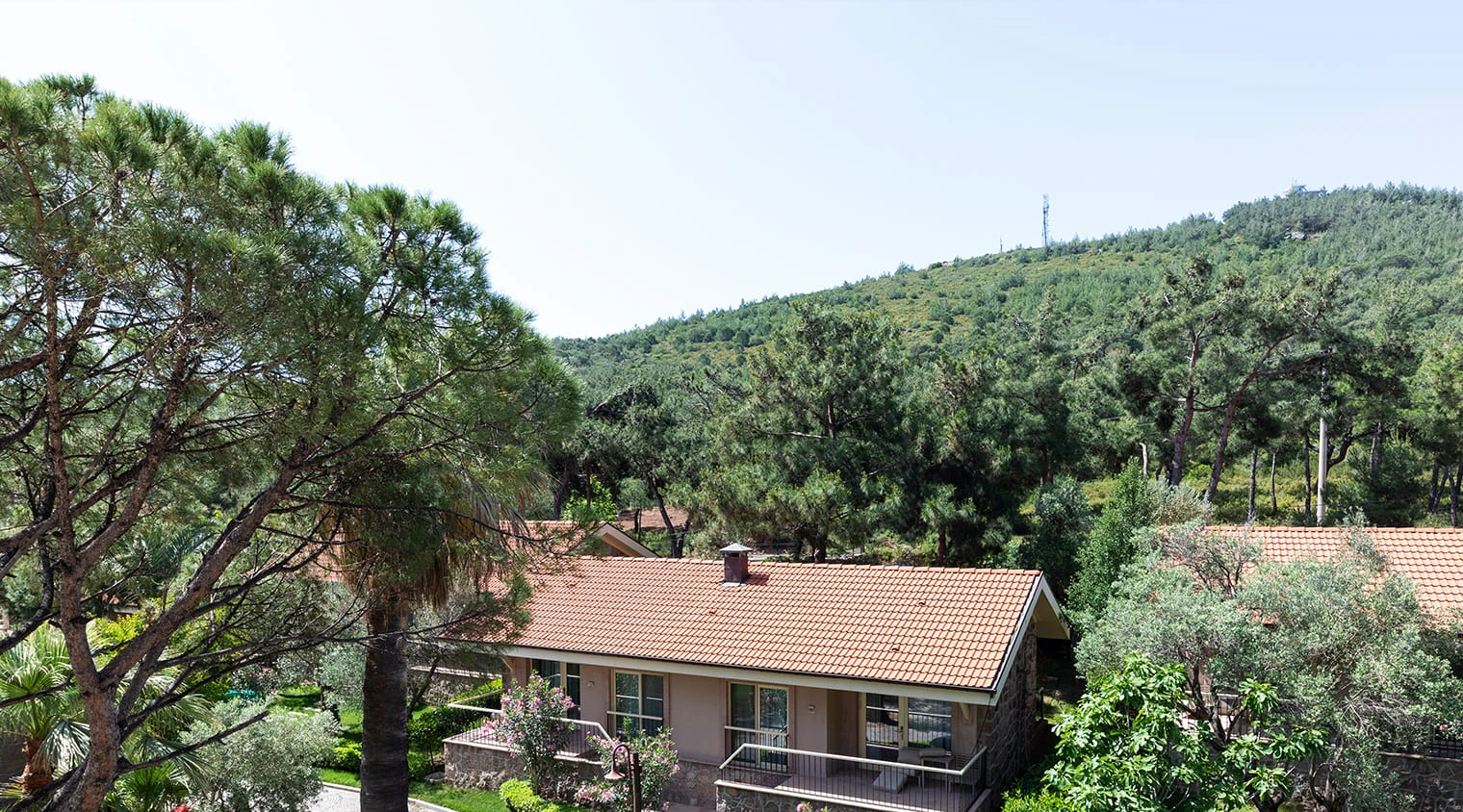 Superior Forest View Room bedroom with forest view at D Resort Ayvalik